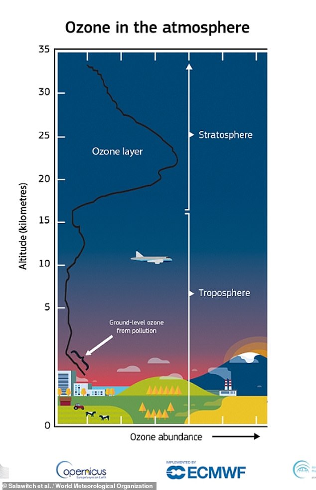 The ozone layer is depleted by chemical reactions, driven by solar energy, involving byproducts of man-made chemicals. This diagram shows how the thickness of the ozone layer changes with altitude.