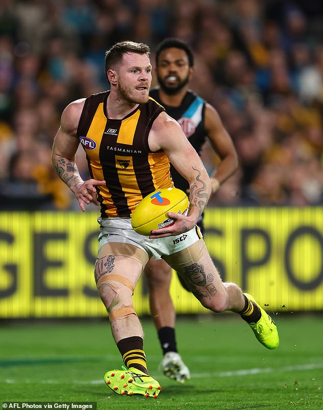 Hardwick has praised Hawthorn coach Sam Mitchell for his influence on the team in 2024