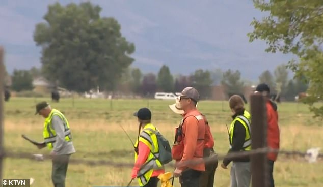 The Federal Aviation Administration (FAA) said one of the planes, a Globe GC-1B, had one passenger on board, while the other, a Cessna 206, had two. (Pictured: Authorities at the crash site)