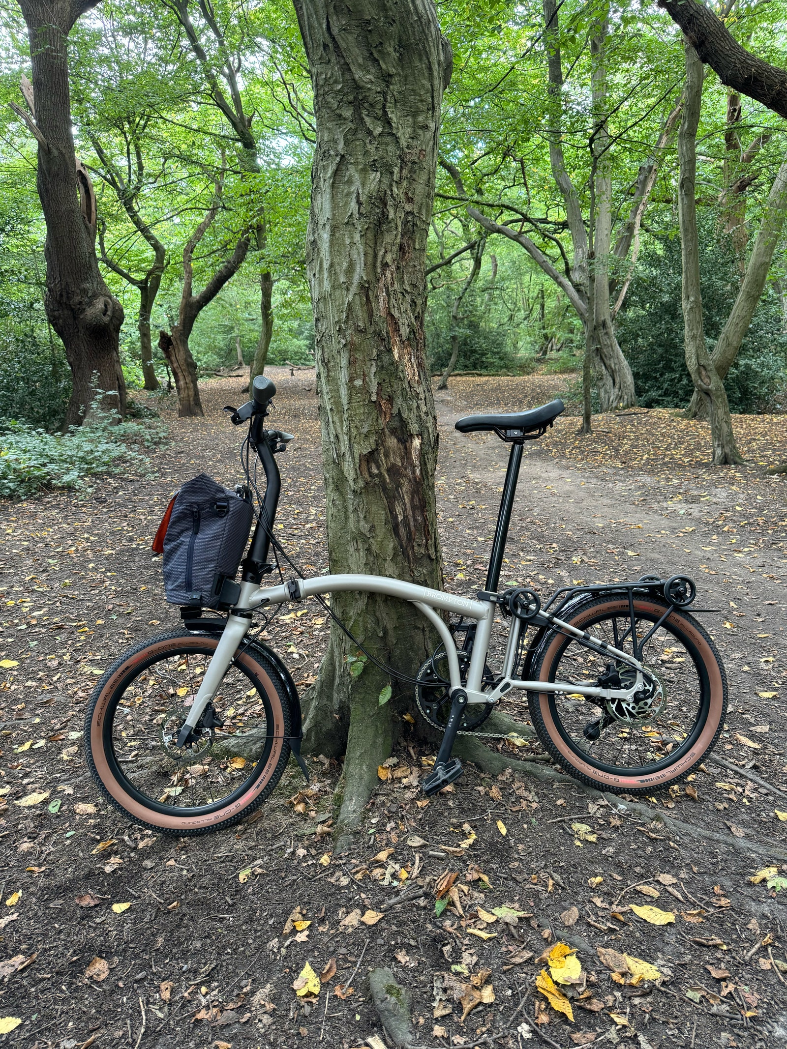 A photograph of the Brompton GLine electric bike against a tree on a forest path.