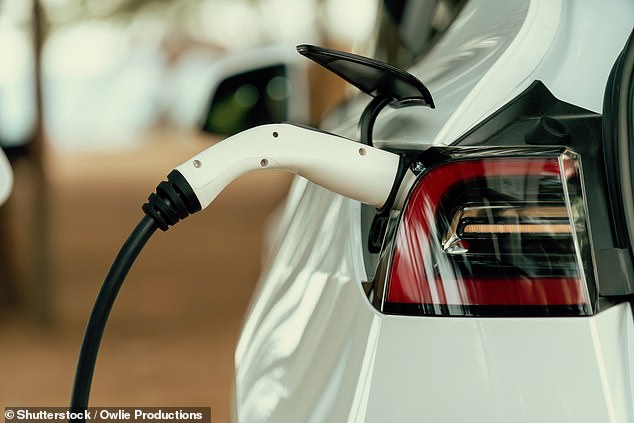 One of the biggest concerns holding drivers back from switching to electric cars is the longevity of their batteries and how often they might have to replace them at a high cost.