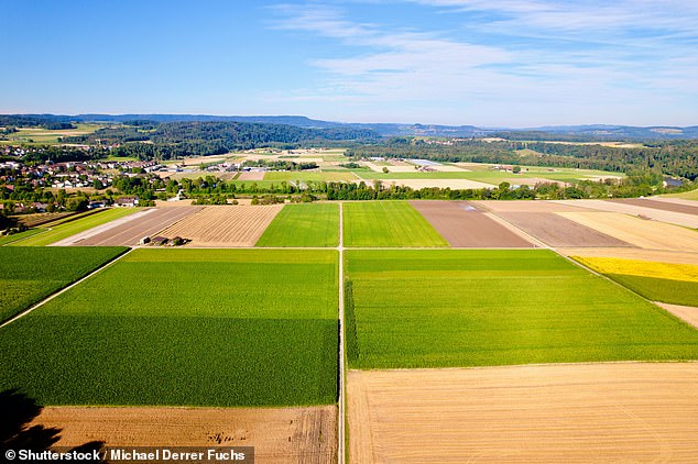 Stock image of agricultural fields with gravel road in the village of Andelfingen, canton of Zurich, on a sunny summer morning