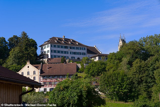 The picture above shows Andelfingen Castle with a mill in the foreground.