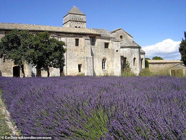 In May 1889, Van Gogh voluntarily entered the Saint-Paul-de-Mausole asylum, housed in a former monastery (pictured) in southern France.