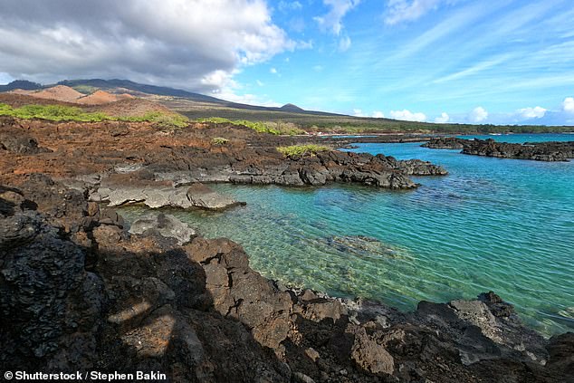 Ilya, 25, was found on the ocean floor and brought back to shore. CPR was administered to both victims, but rescuers' efforts were unsuccessful and they were declared dead (photo: Ahihi-Kinua Nature Reserve)