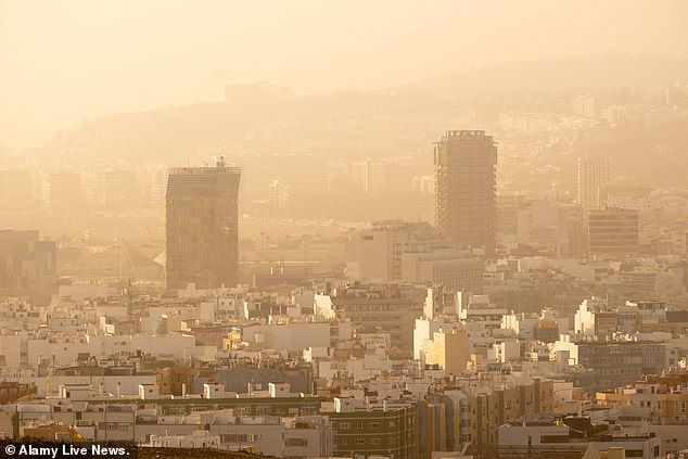 She was officially declared dead after arriving at the Doctor Negrín Hospital in the capital of Gran Canaria, Las Palmas (Archive image from Las Palmas)