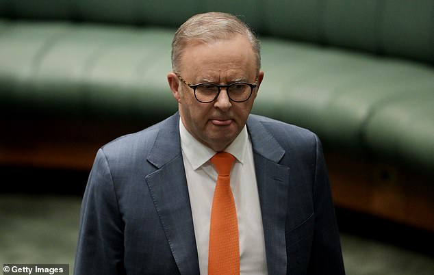 Anthony Albanese (pictured) hopes to retain most of the seats Labor needs to hold on to in Victoria to maintain a majority in government.