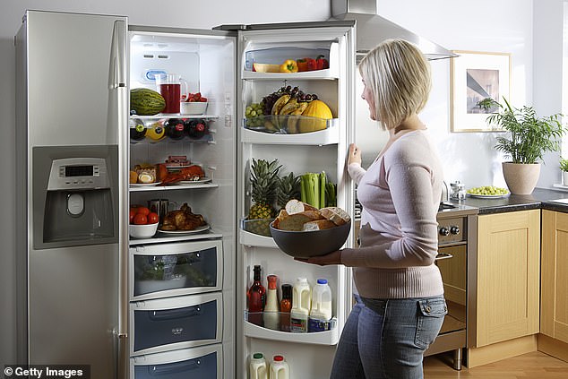 Older refrigerators, in particular, can be energy-hungry, so Eric recommends upgrading to a more efficient model if possible (stock image)