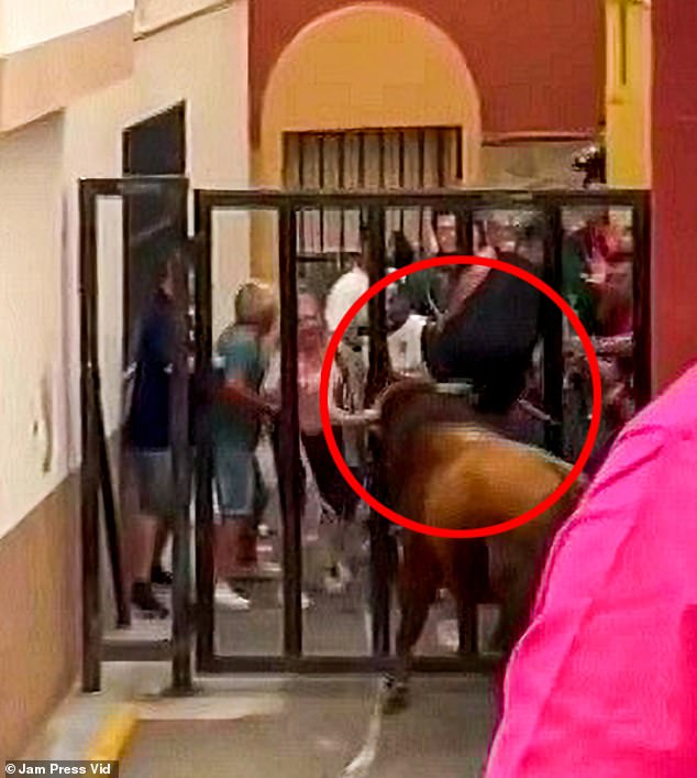 The man was then left in the air for several seconds before the bull threw him to the ground in front of shocked spectators.