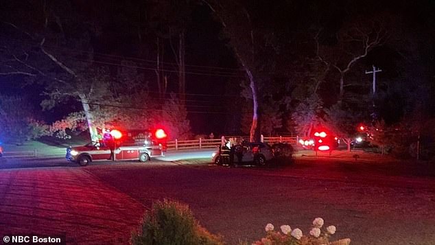 Madison Straub crashed into a tree in the Duxbury neighborhood while driving alone, the Duxbury Police Department reported. Pictured: The scene of the fatal crash