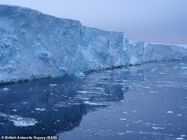 Thwaites Glacier is approximately 120 km (74.5 mi) wide, the same size as Great Britain or Florida, making it the widest glacier on the planet.