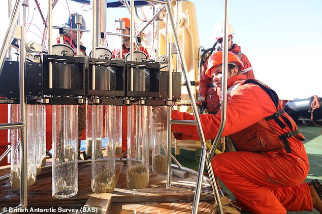 Researchers from the British Antarctic Survey (BAS) used underwater robots to take new measurements of the glacier, which is the same size as Great Britain.