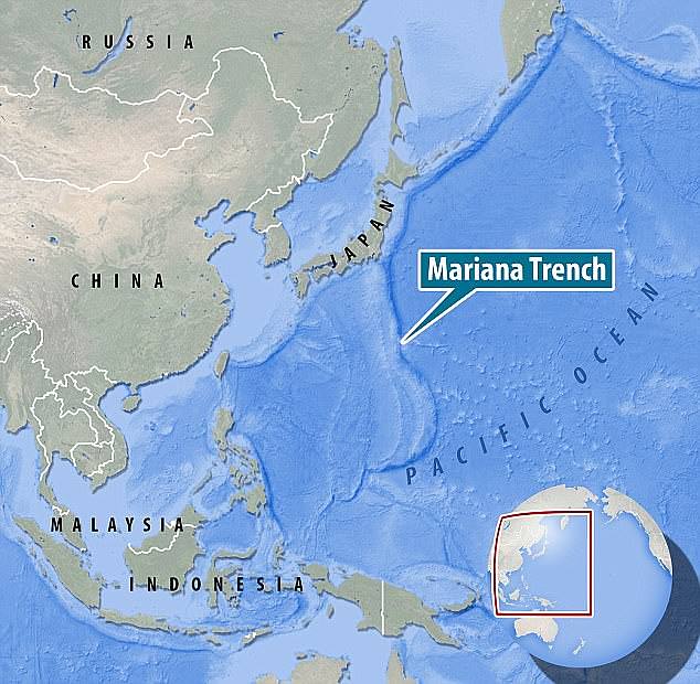 The Mariana Trench, nearly seven miles (36,201 feet) deep, lies at the bottom of the Pacific Ocean and is so elusive that only a handful of people have ventured there.