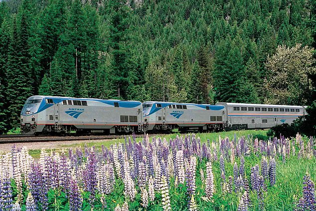 The Amtrak train (pictured) was closed over the summer for track renovations, but is now running again, Annabelle reveals