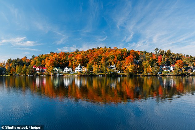 Annabelle takes a walk around Saranac Lake, famous for its art galleries.