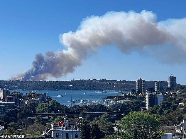 Large plumes of smoke could be seen coming from the dense bushes that stretched across the city (pictured)