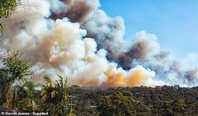 Fire and Rescue NSW continues to support the RFS and has deployed nine trucks and equipment now focusing on property protection.