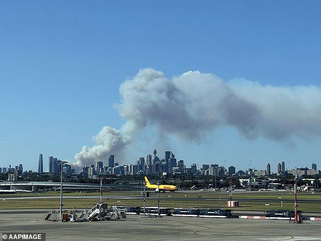 Smoke from the bushfire is seen rising over the city from Sydney Airport on Saturday.