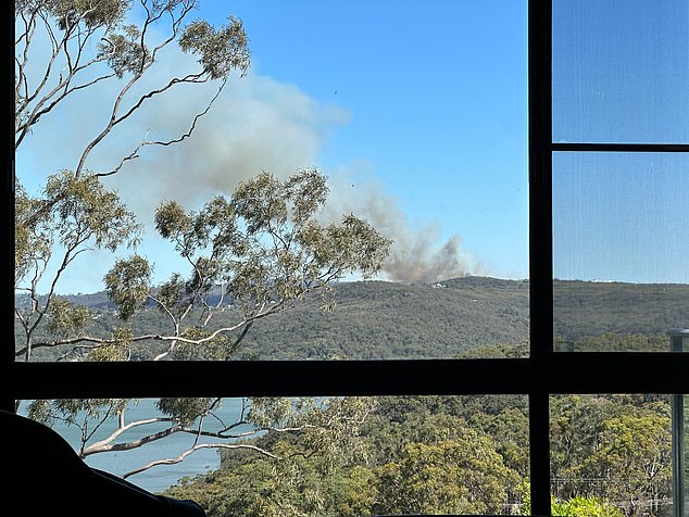 Large plumes of smoke could be seen coming from a dense thicket (pictured)