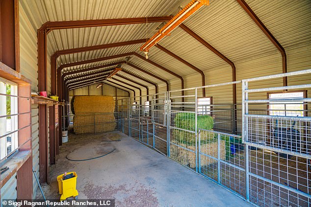 The land can also be used for cattle grazing.