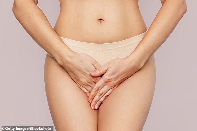 The new guidelines are the latest effort by British menopause experts to reassure women and ease pressure on the health service. (File image)