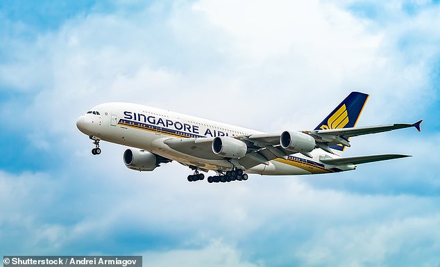 But no agreement on fares and slots has yet been signed with Singapore Airlines (plane pictured).