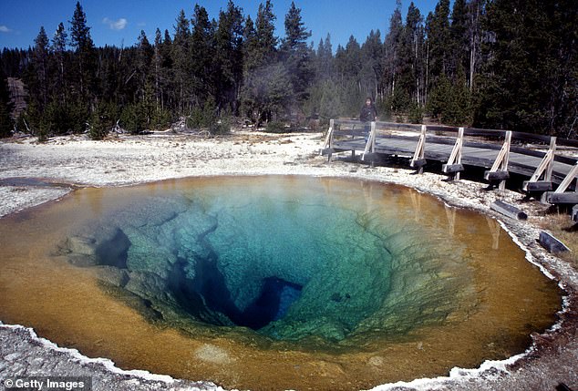 Coins, rocks and other debris have been thrown into Morning Glory Geyser over the years.