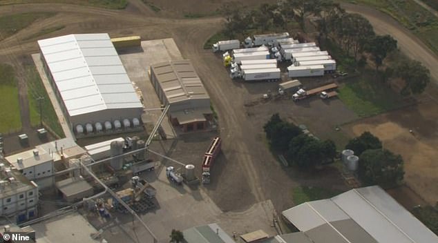 The terrible workplace accident occurred at a slaughterhouse in Geelong, southwest of Melbourne.