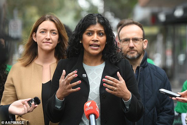 Samantha Ratnam, leader of the Victorian Greens, said Australian roads were not designed to accommodate monster trucks.