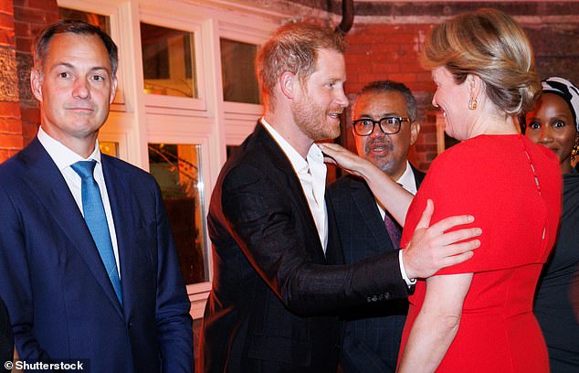 Prince Harry greets Queen Mathilde of Belgium during a high-profile dinner on 