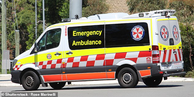 Paramedics treated the man but he died at the scene (file image)