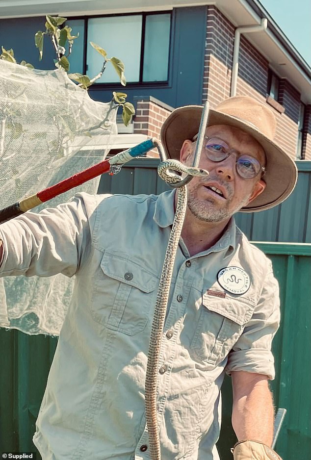 Chris Williams (pictured), a professional snake catcher and owner of Urban Reptile Removal, said eastern brown snakes have quickly adapted to living in urban areas.