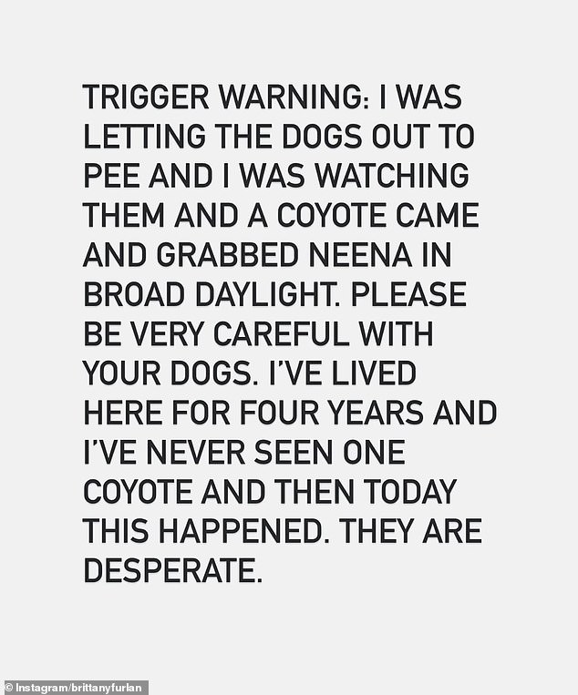 Furlan said the incident marked the first time in four years at the residence that they had an encounter with a coyote.