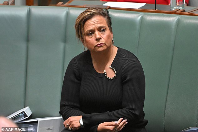 Communications Minister Michelle Rowland insists new laws will not restrict freedom of expression