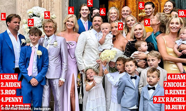 The outing comes just months after Hunter reunited with ex-husband Rod Stewart at her son Liam's lavish wedding in Croatia (pictured with Rod, sons Sean, Aiden, current wife Penny and Alastair, Liam, daughter-in-law Nicole, grandson Louie, daughter Renee and daughter Ruby).