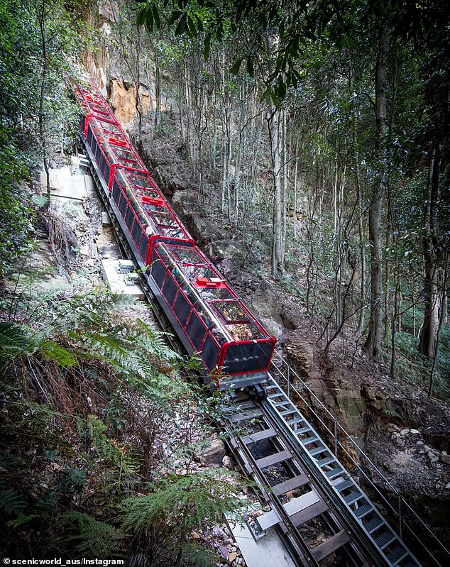 Tourists were amazed by the Katoomba Scenic Railway in the Blue Mountains near Sydney, which is the steepest railway in the world.