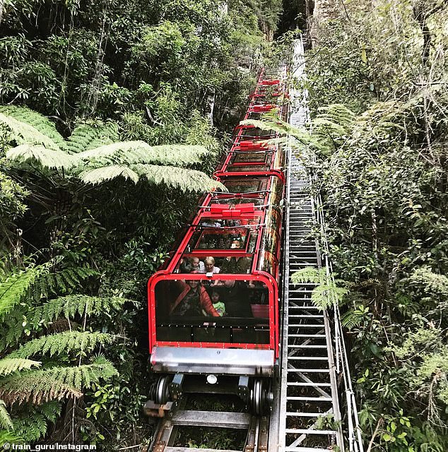 The small passenger train descends 310 metres down the side of a mountain at a harrowing 52-degree angle through lush forest and in and out of rock tunnels.