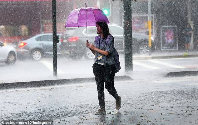 The heaviest rainfall is expected to hit Sydney on Thursday, with up to 40mm of rain.