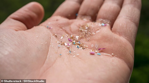 Invisible to the human eye, microplastics are fragments of plastic as small as two micrometers, or two thousandths of a millimeter.