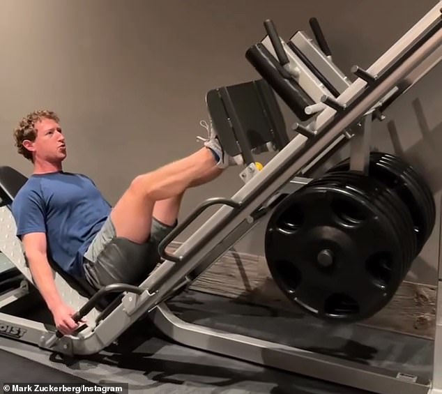 Zuckerberg has been working hard at the gym to achieve a ripped, muscular physique.