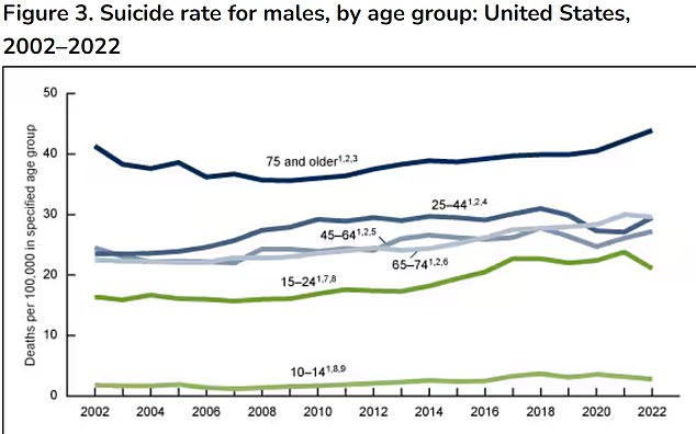 The above shows suicide rates by age group among US men.