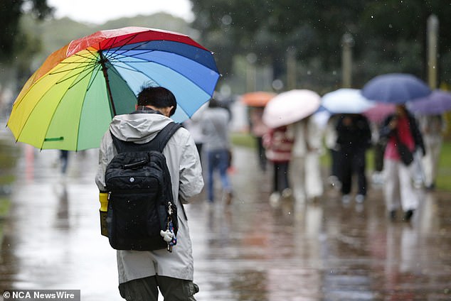 Rain should ease on Sunday in most areas, according to the Bureau of Meteorology