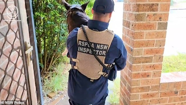 Two dogs were also found during the warrant and were seized by the NSW RSPCA.