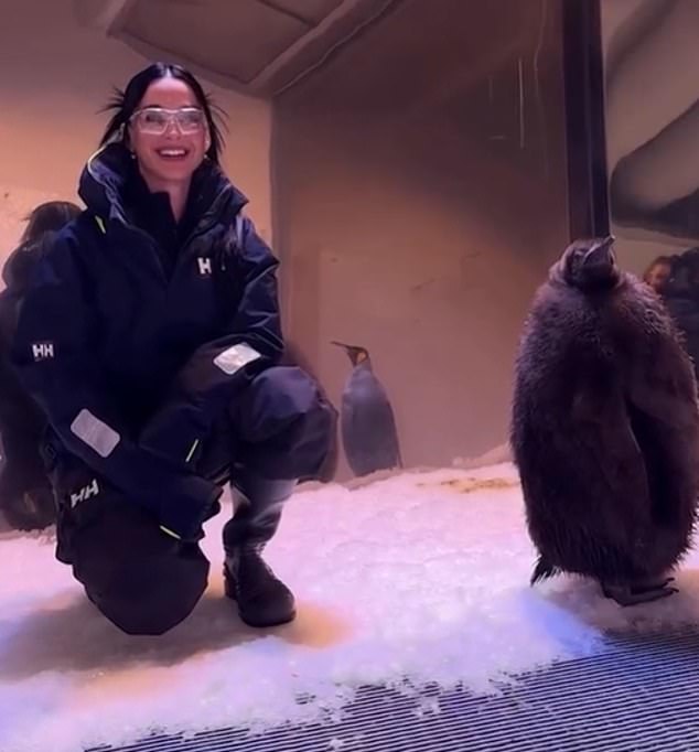 The American pop star, 39, who headlines the pre-match show at the MCG before the Brisbane Lions take on the Sydney Swans, taunted his fans in an Instagram clip. The brunette beauty is seen visiting the penguins at Sea Life Melbourne Aquarium.