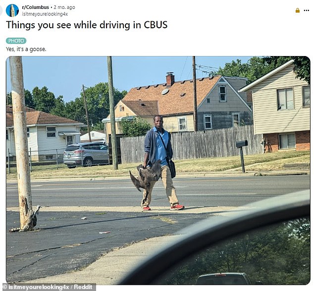 Pictured is an image of a man holding a dead goose in Columbus, Ohio, one of the outlets that apparently started the rumors.