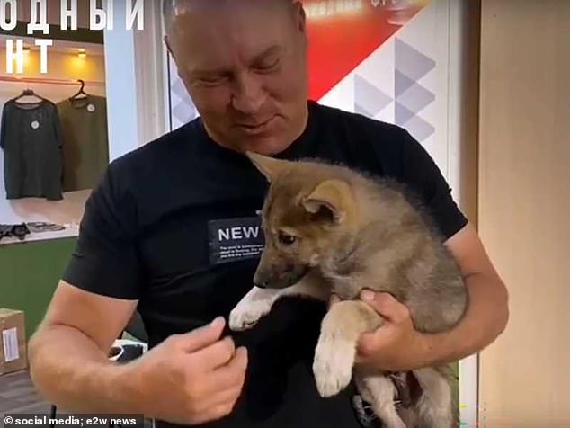 The All-Russian Popular Front (ONF) shared the news that two wolf cubs had been requested in May.