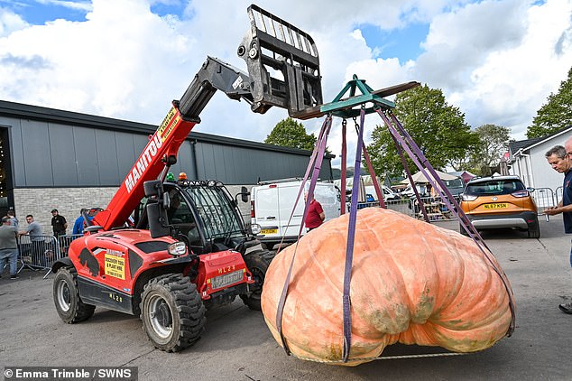 The gigantic 188 stone (1,198.2kg) pumpkin needs a crane to lift it because it is so heavy.