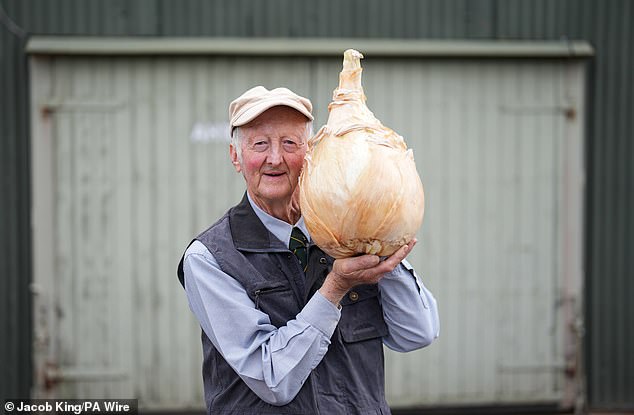 A man holds a giant onion before the UK National Giant Vegetable Championships, during the Malvern Autumn Show.