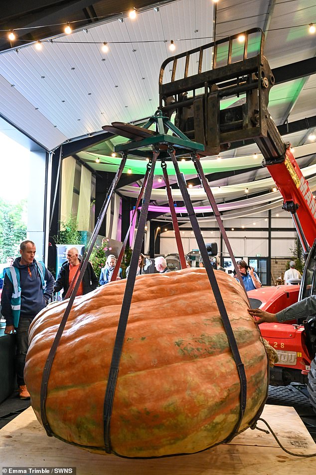 The giant pumpkin appears at Malvern's autumn exhibition, which is expected to be attended by thousands.