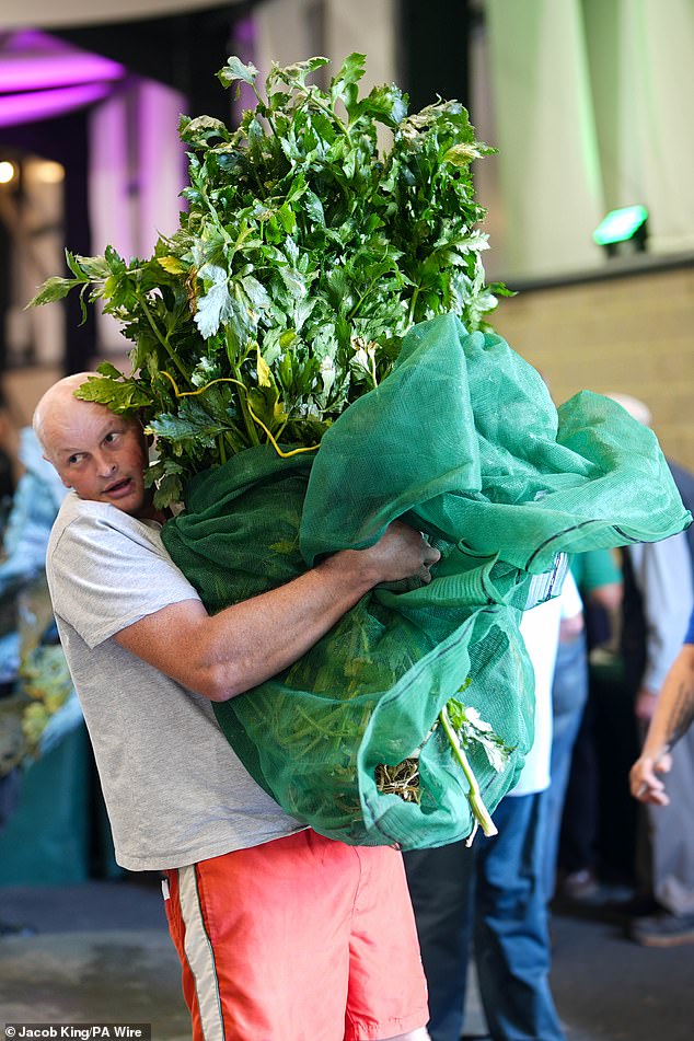 A competitor carries celery before the UK National Giant Vegetable Championships.